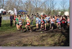 Begles 15.12.13 01 486 * 679 x 453 * (193KB)